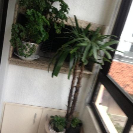 Jurere Apartment Florianopolis Ngoại thất bức ảnh